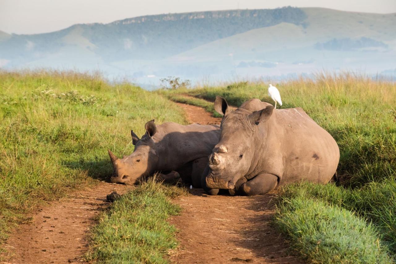 Tala Collection Game Reserve Silverton Zewnętrze zdjęcie