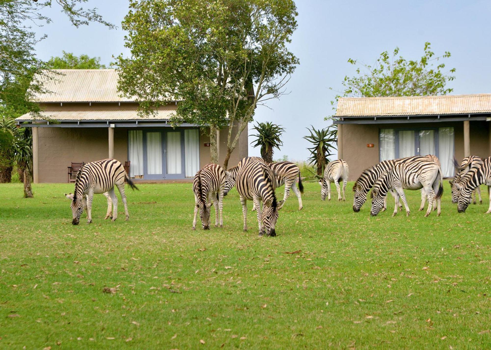 Tala Collection Game Reserve Silverton Zewnętrze zdjęcie